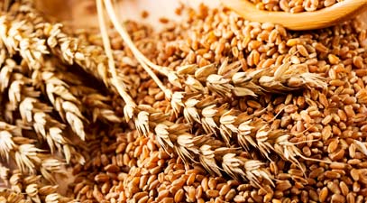 Гидролизованный протеин пшеницы