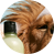 Косметика для животных