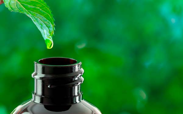 Сертифицированные ECOCERT органические экстракты обеспечивают нежный уход. Молочная кислота поддерживает оптимальный баланс микрофлоры